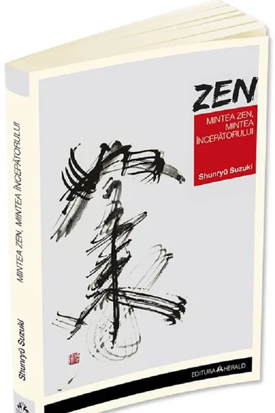 Mintea Zen, mintea începătorului
