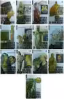 Istoria culturii si civilizatiei (13 volume)