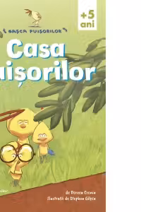 Casa Puisorilor