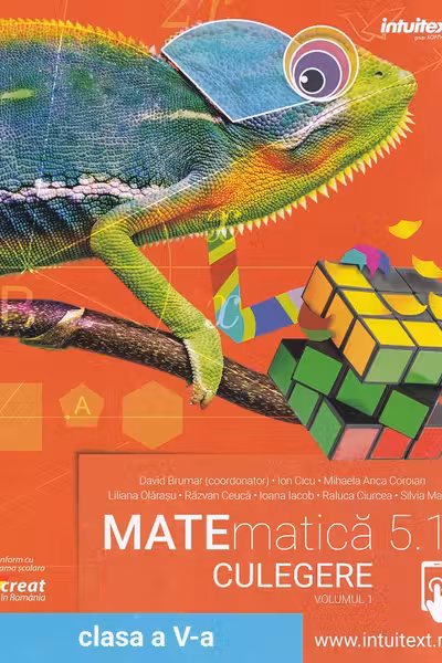 Matematica 5.1 - Clasa a 5 - Culegere Vol.1