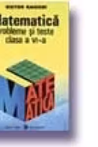 Matematica. Probleme si teste (cls. a VI-a)