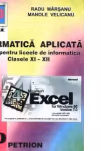 Informatica aplicata (procesoare de calcul tabelar, utilizare Excel, generatoare FOXPRO, sisteme informatice, aplicatii diverse). - (clasele XI-XII)