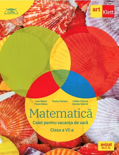 Matematica caiet pentru vacanta de vara clasa a VI-a