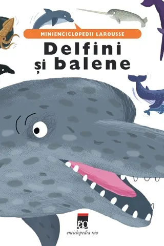 Delfini și balene