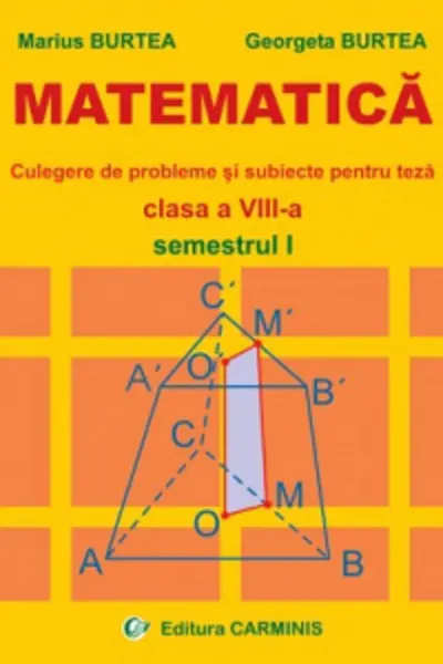 Matematică. Culegere de probleme și subiecte pentru teză - Clasa 8 - Semestrul 1