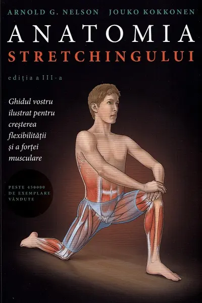 Anatomia stretchingului