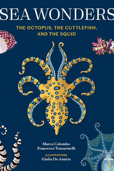 Sea Wonders