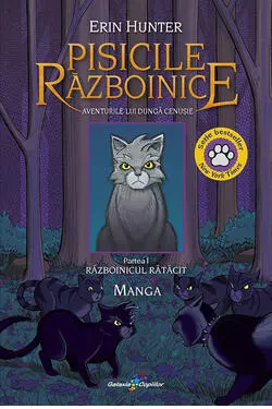 Manga-Pisicile razboinice vol. 1-Aventurile lui Dunga Ce