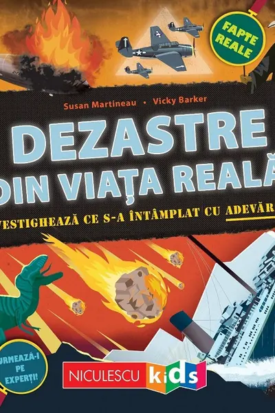 Dezastre din viata reala