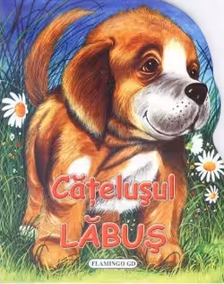 CATELUSUL LABUS