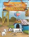 Catelusul