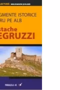 FRAGMENTE ISTORICE. NEGRU PE ALB