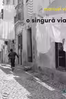 O singura viata