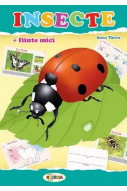 Insecte. Mapa.