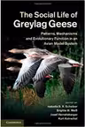 The Social Life of Greylag Geese: Patterns, Mechanisms and Evolutionary Function in an Avian Model System - Isabella B. R. Scheiber, Brigitte M. Weib, Josef Hemetsberger, Kurt Kotrschal