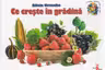 Cunosc lumea pas cu pas. Ce creste in gradina