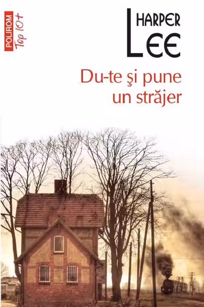 Du-te si pune un strajer