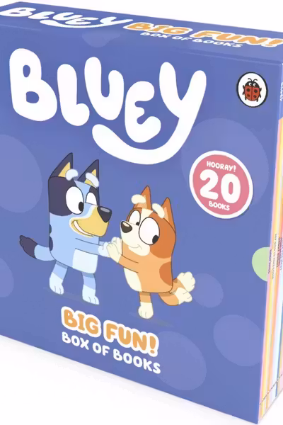 Bluey Big Fun Box Books