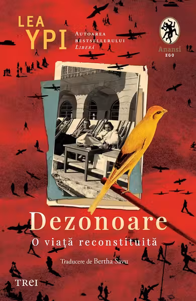 Dezonoare