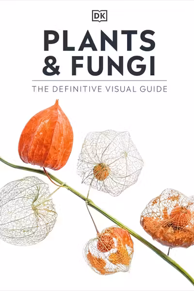 Plants and Fungi