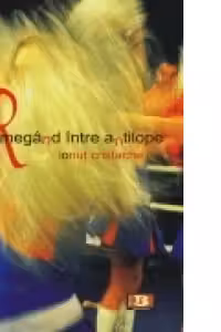 Rumegand intre antilope