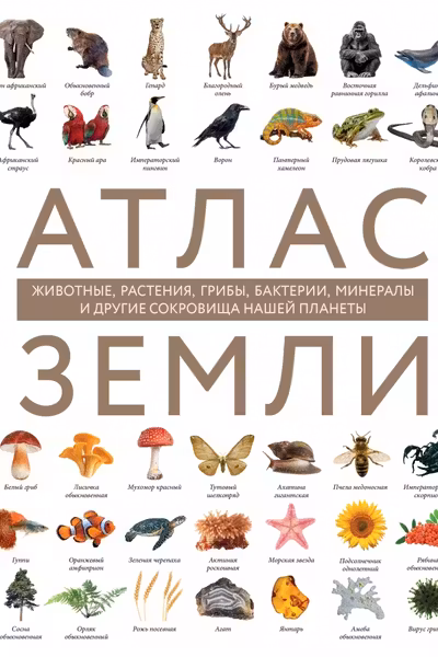 Атлас Земли. Животные растения грибы бактерии минералы и другие сокровища нашей планеты