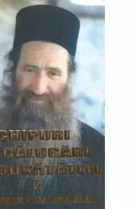 Chipuri de calugari imbunatatiti, volumul 2