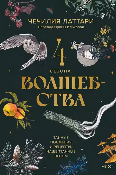 4 сезона волшебства. Тайные послания и рецепты нашептанные лесом