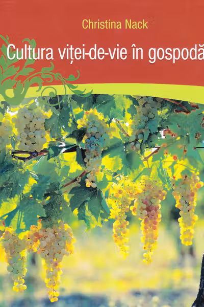 Cultura vitei-de-vie in gospodarie
