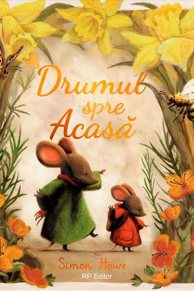 Drumul spre acasa
