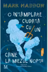 O intamplare ciudata cu un caine la miezul noptii