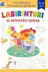 Labirinturi si activitati logice