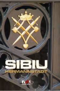 Album Sibiu (lb. Franceza)