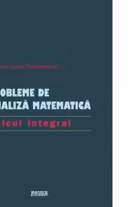 Probleme de analiza matematica. Calcul integral
