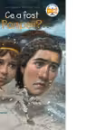 Ce a fost Pompeii?