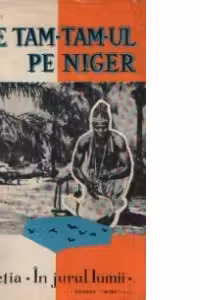 Bate tam-tam-ul pe Niger