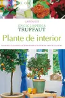 Plante de interior