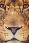 Animale din Africa