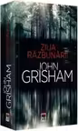 Ziua razbunarii