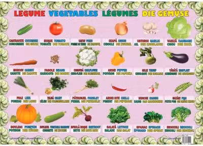 Legume - Plansa educativa