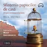 Sfințenia papucilor de casă (audiobook)