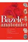 Bazele anatomiei