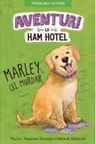 AVENTURI LA HAM HOTEL. MARLEY CEL MURDAR. Shelley Swanson Sateren