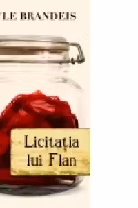 Licitația lui Flan