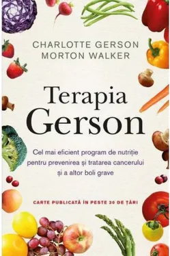 TERAPIA GERSON
