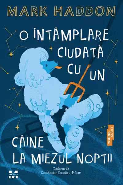 O intamplare ciudata cu un caine la miezul noptii