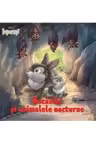 Bocanila si animalele nocturne