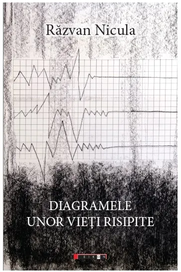 Diagramele unor vieți risipite