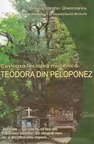 Cuvioasa Fecioară Muceniță Teodora Din Peloponez