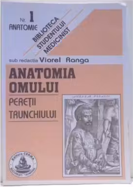 Anatomia omului. Peretii trunchiului. 1